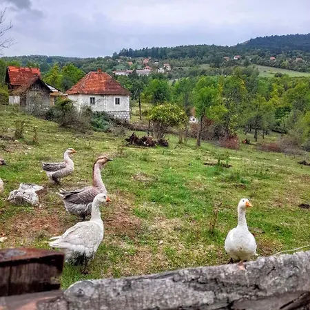 Malo Selo Bojanovici Prázdninový dům *