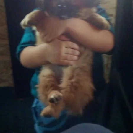 Malo Selo Bojanovici